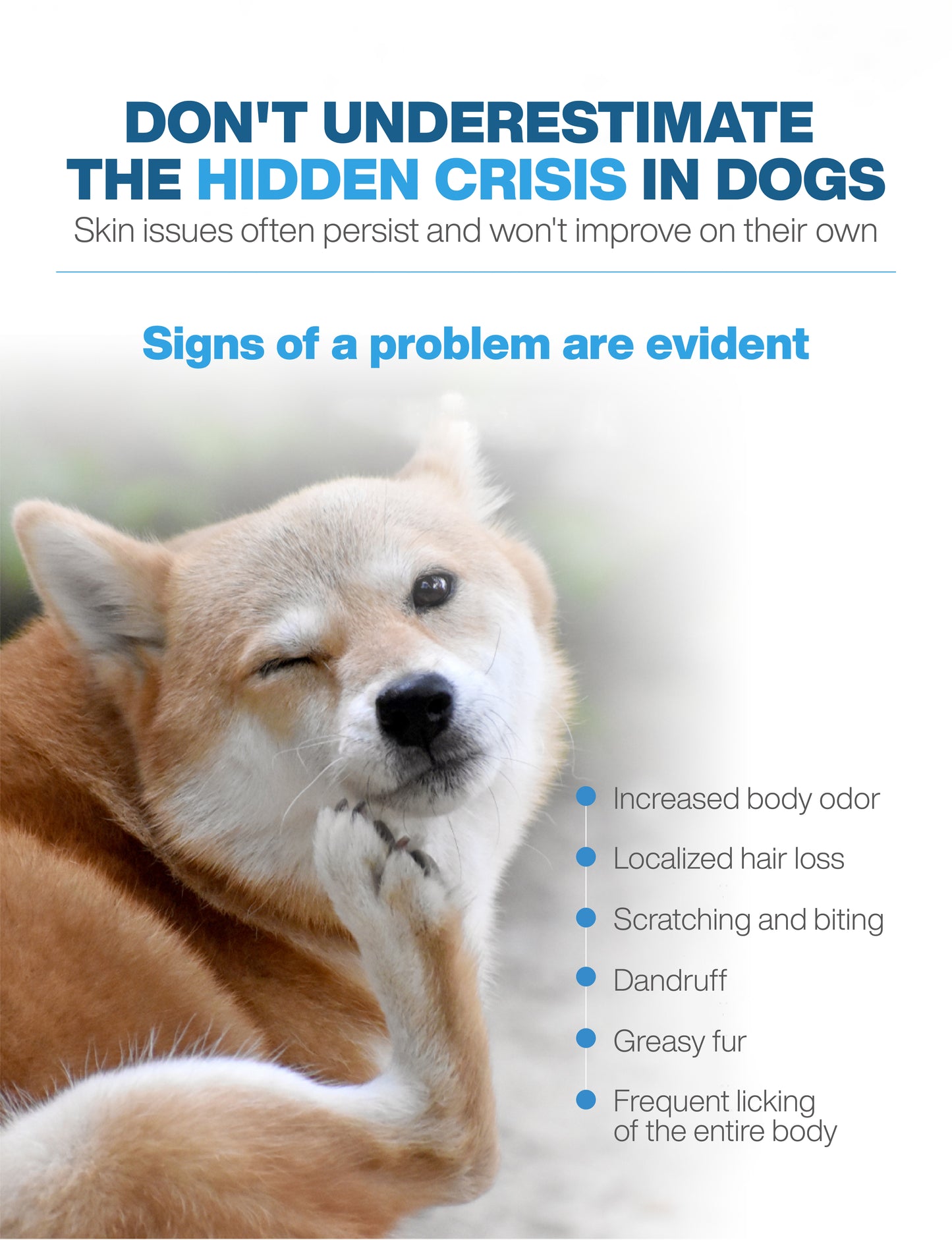 MORESON Hair & Skin Care Formula (Pork Flavor)