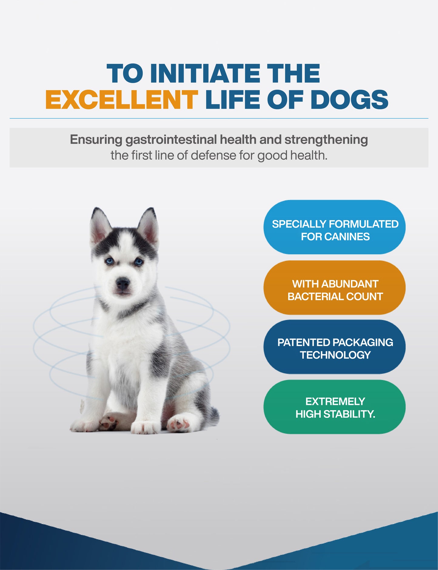 MORESON Probiotics and Digestive Enzymes