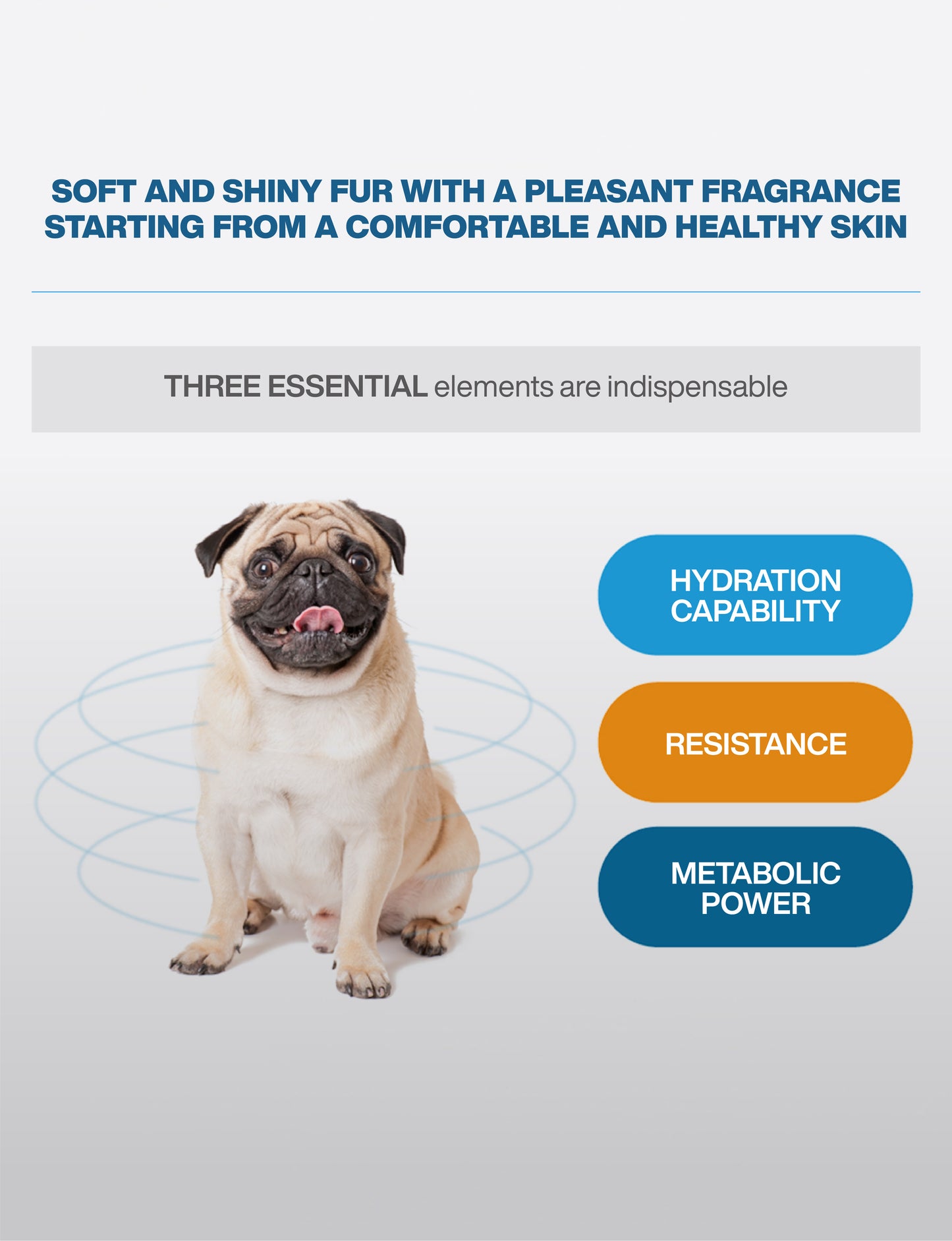 MORESON Hair & Skin Care Formula (Pork Flavor)