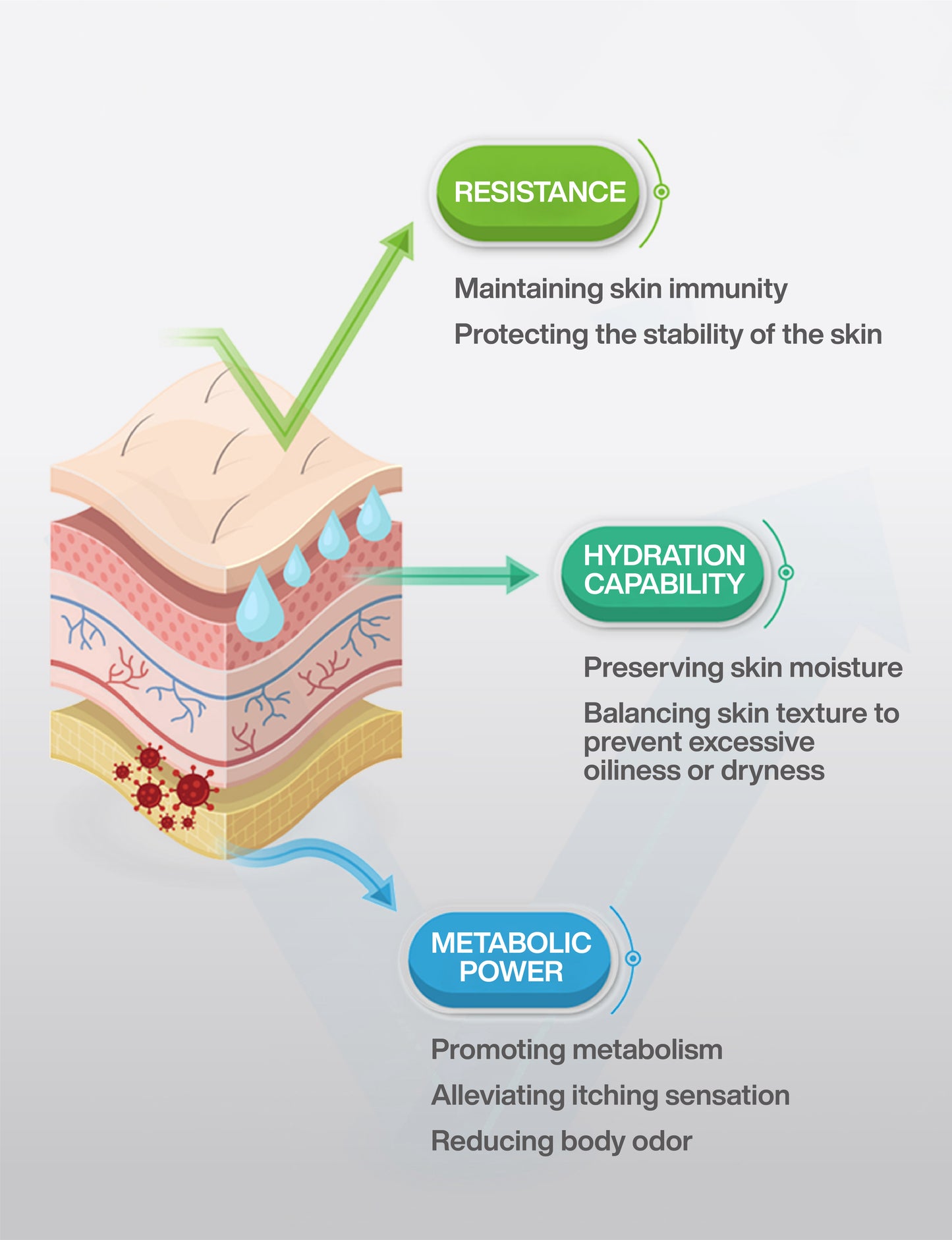 MORESON Hair & Skin Care Formula (Pork Flavor)