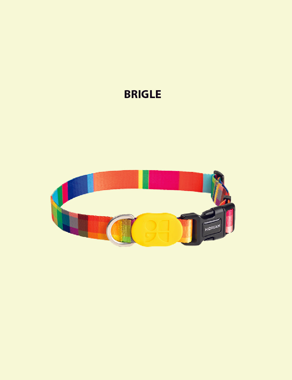 COLOURS FOR YOU - Dog Collar