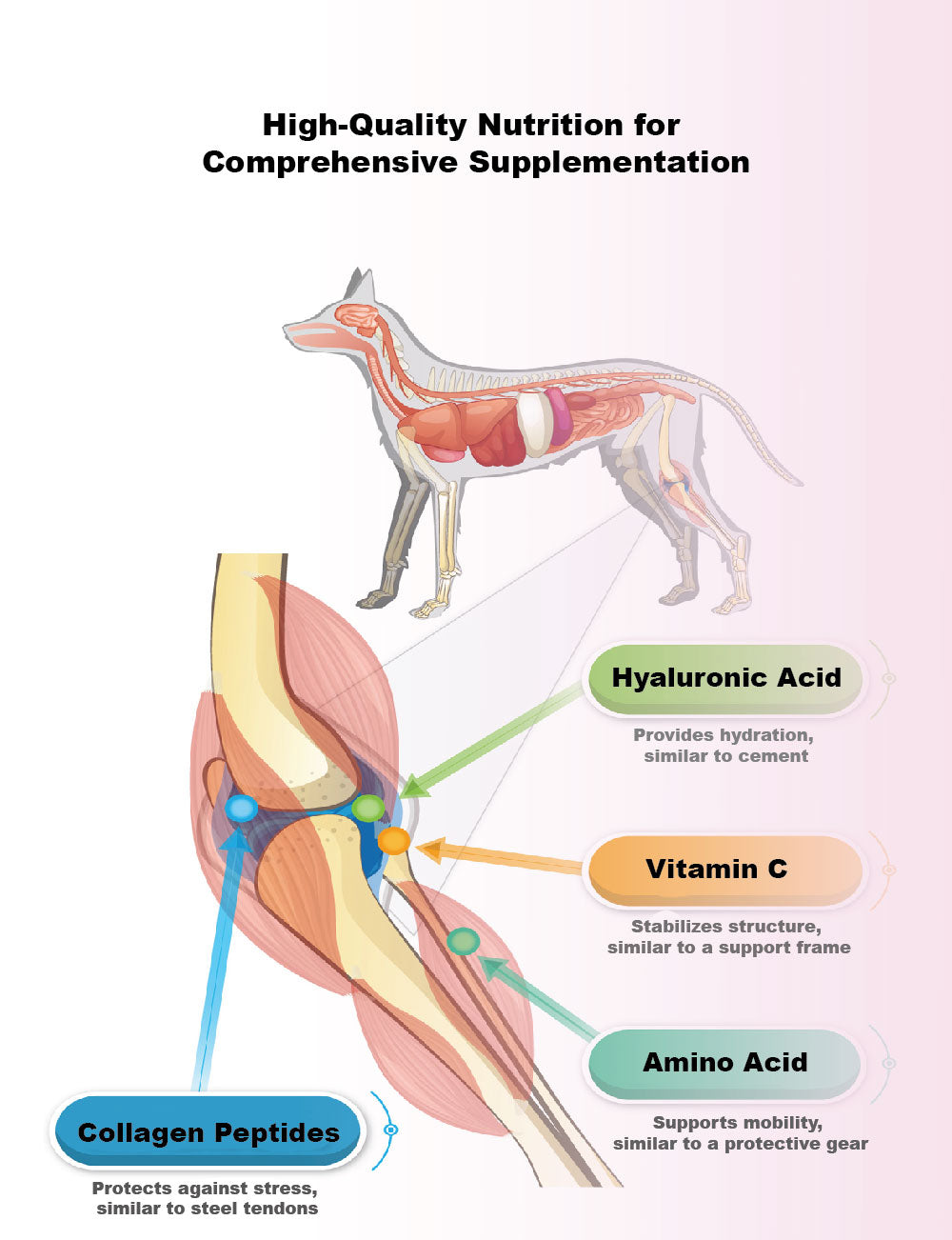 MORESON Joint Care Formula