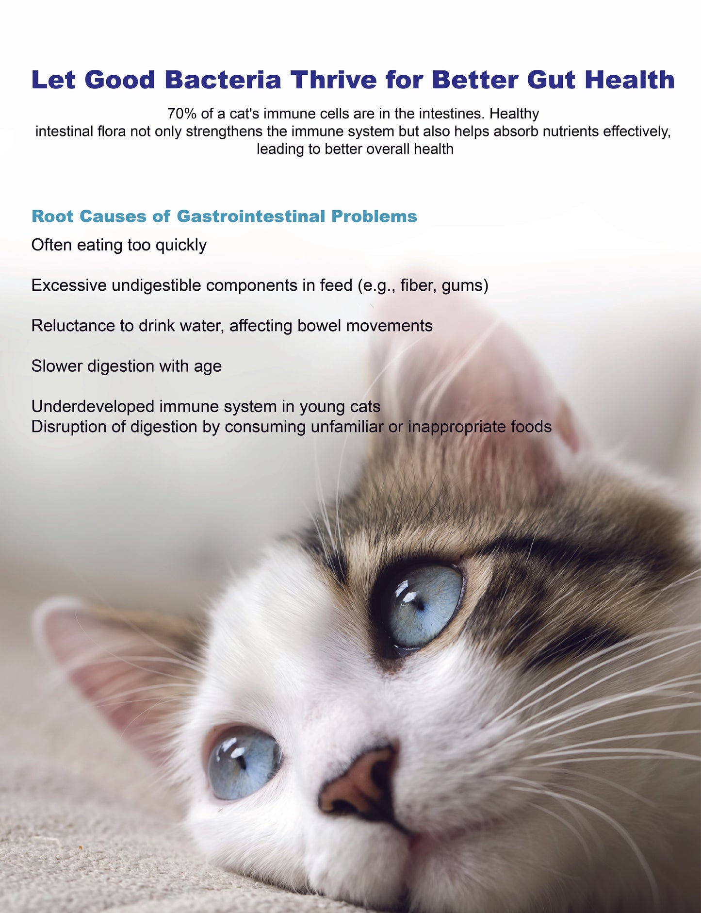 MORESON Probiotics & Prebiotics For Cat