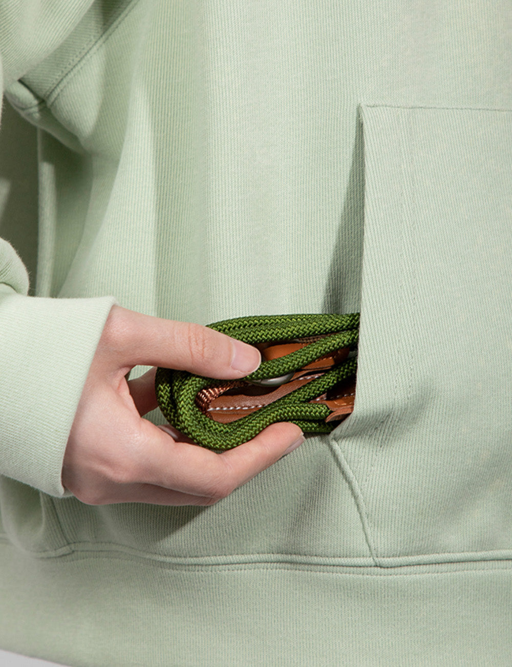 Training Collar & Leash