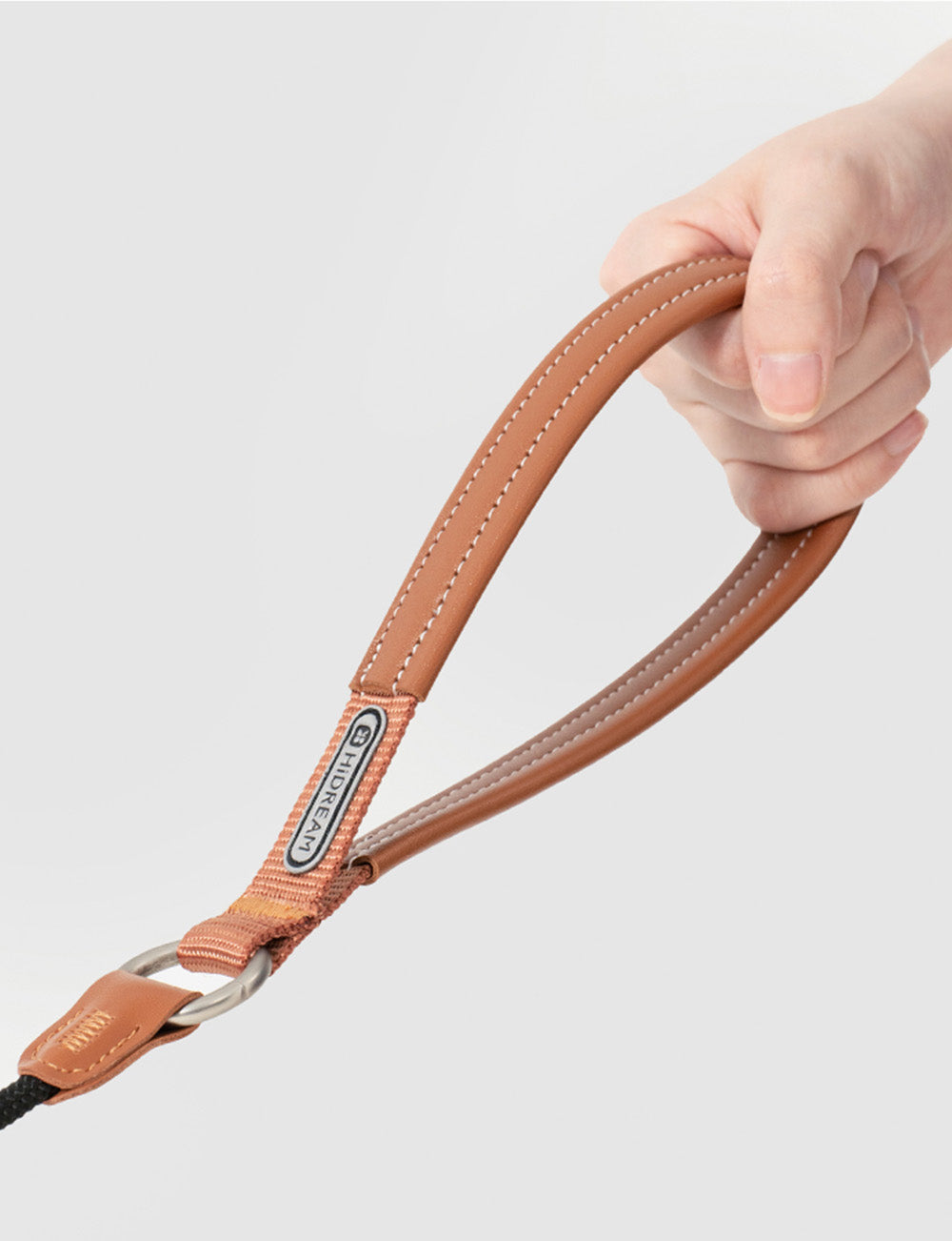 Training Collar & Leash