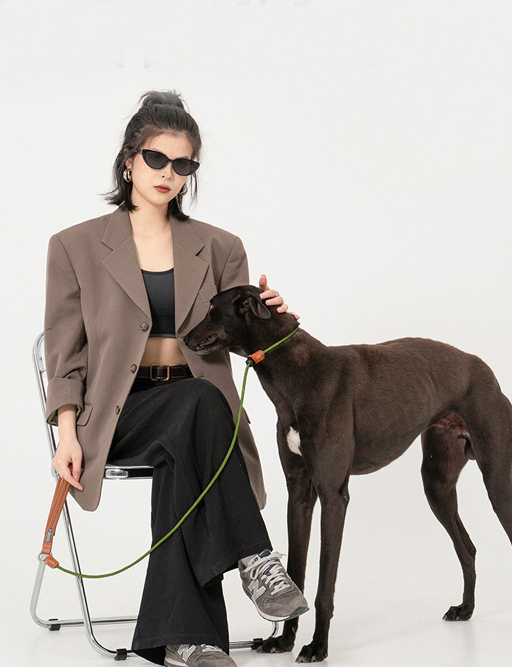 Training Collar & Leash