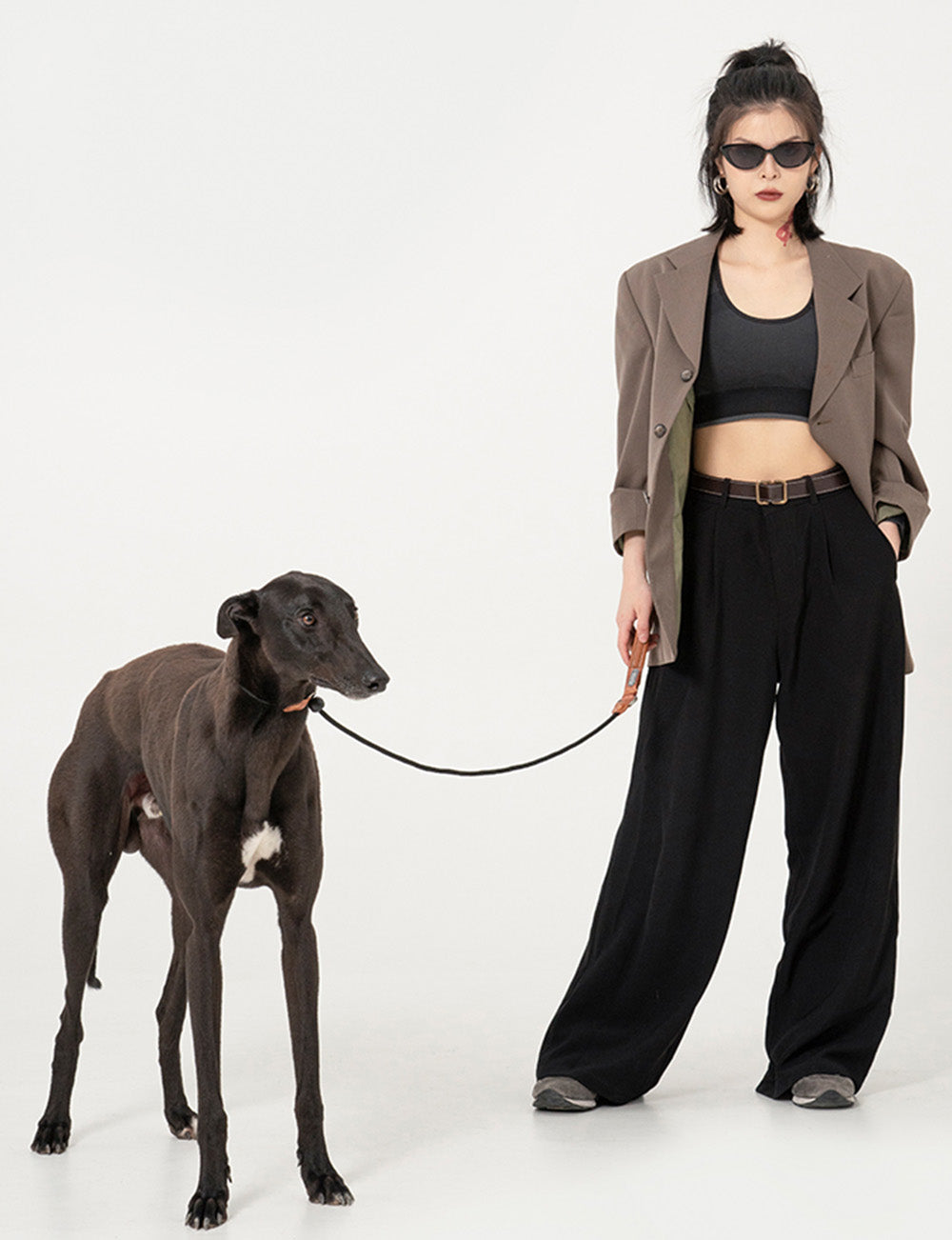 Training Collar & Leash