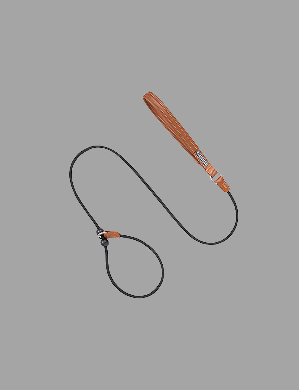 Training Collar & Leash