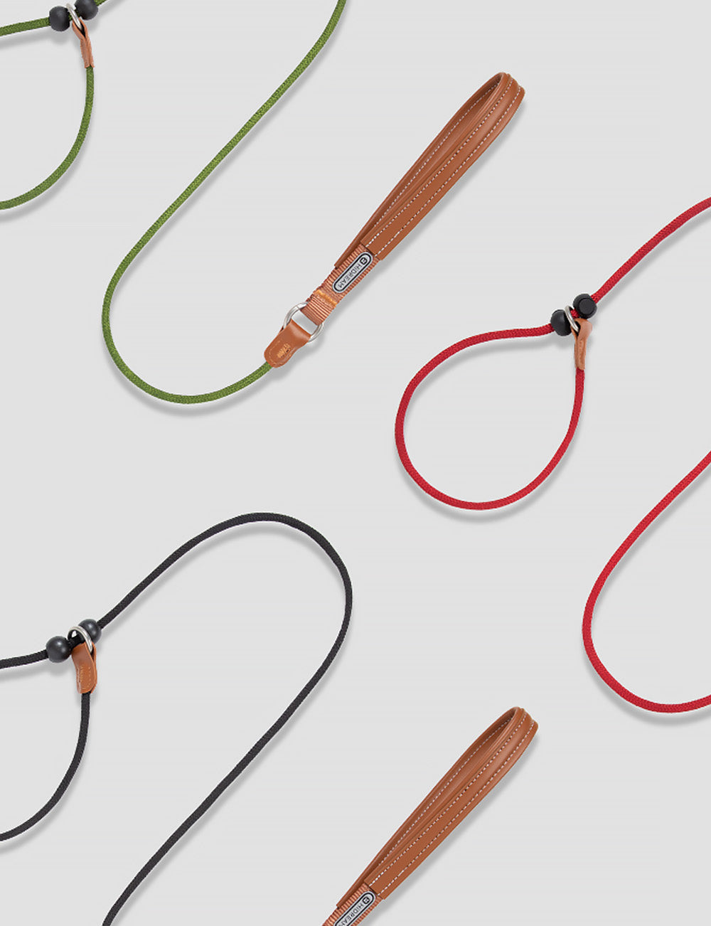 Training Collar & Leash