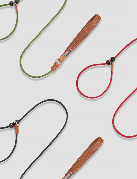 Training Collar & Leash