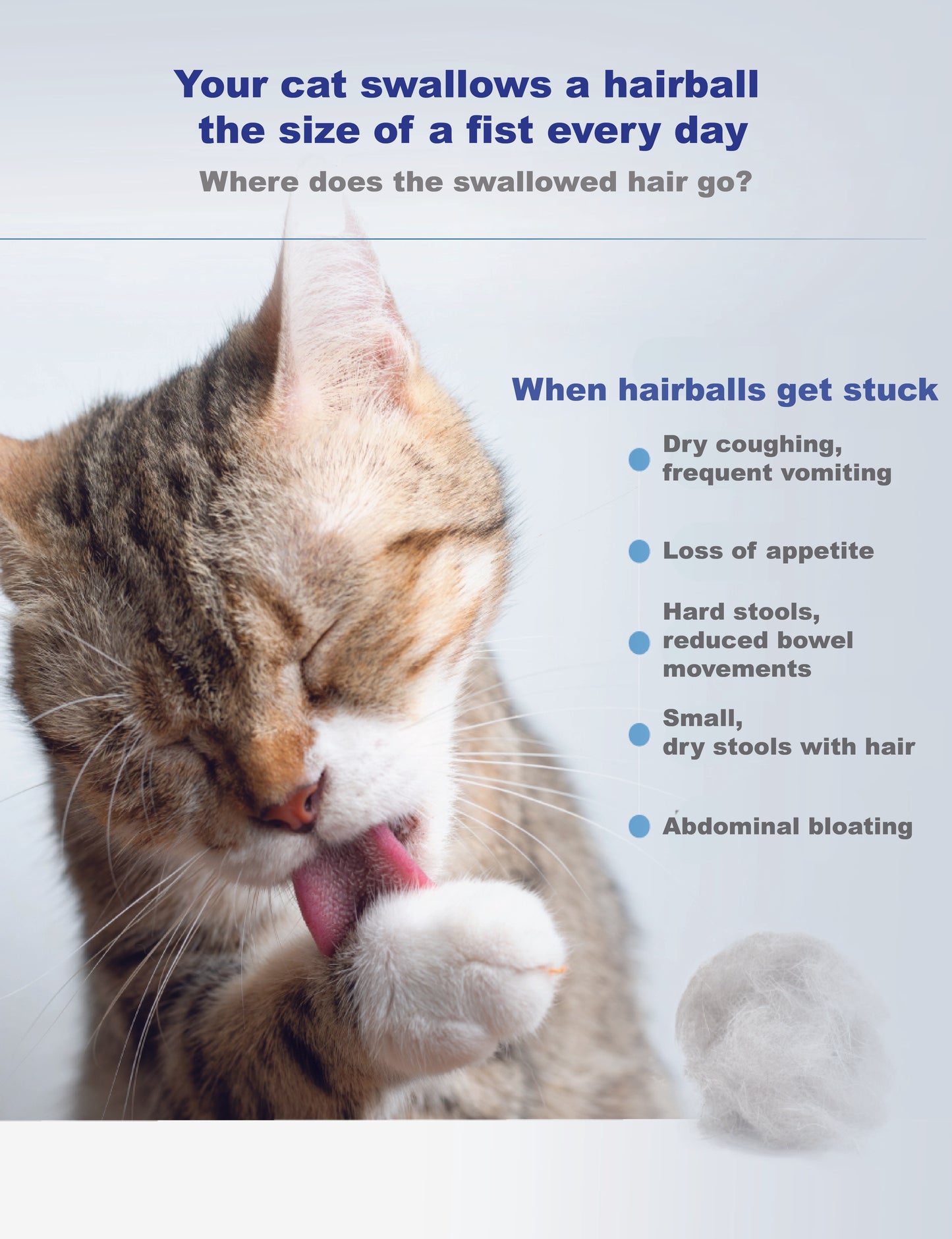 MORESON Hairball Relief Formula For Cat